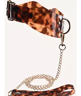 Amber Collar and Leash