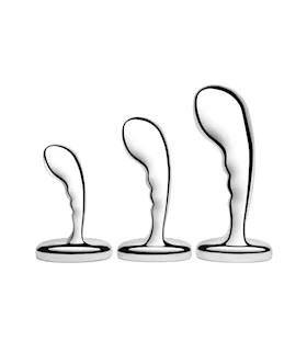B Vibe Stainless Steel P Spot Training Set