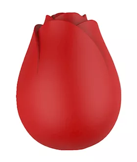 Rose Vibe with Bullet