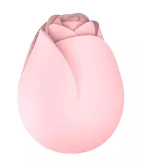 Rose Vibe with Bullet