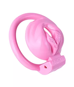 Sissy Faux Vulva Chastity Cage