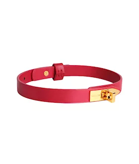 Elegant Collar With Leash