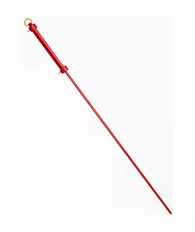 Sensual Spanking Stick