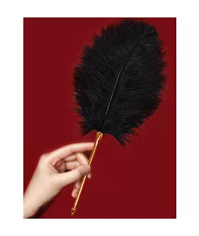 Flirty Feather Tickler