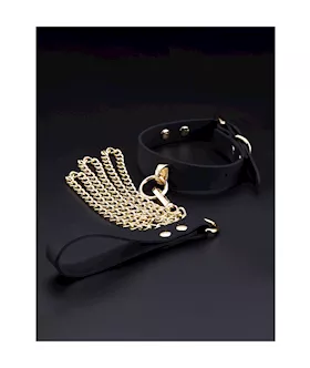 Silicone Collar With Leash