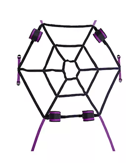 Web Bed Restraint Set