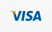 Visa Payment